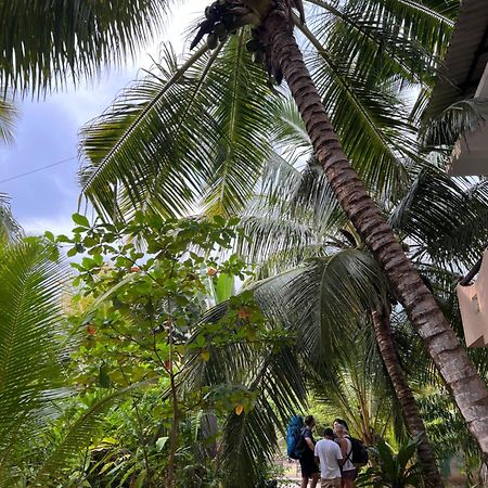 Villasiri And Leon Beach Paradise Тангалла Экстерьер фото