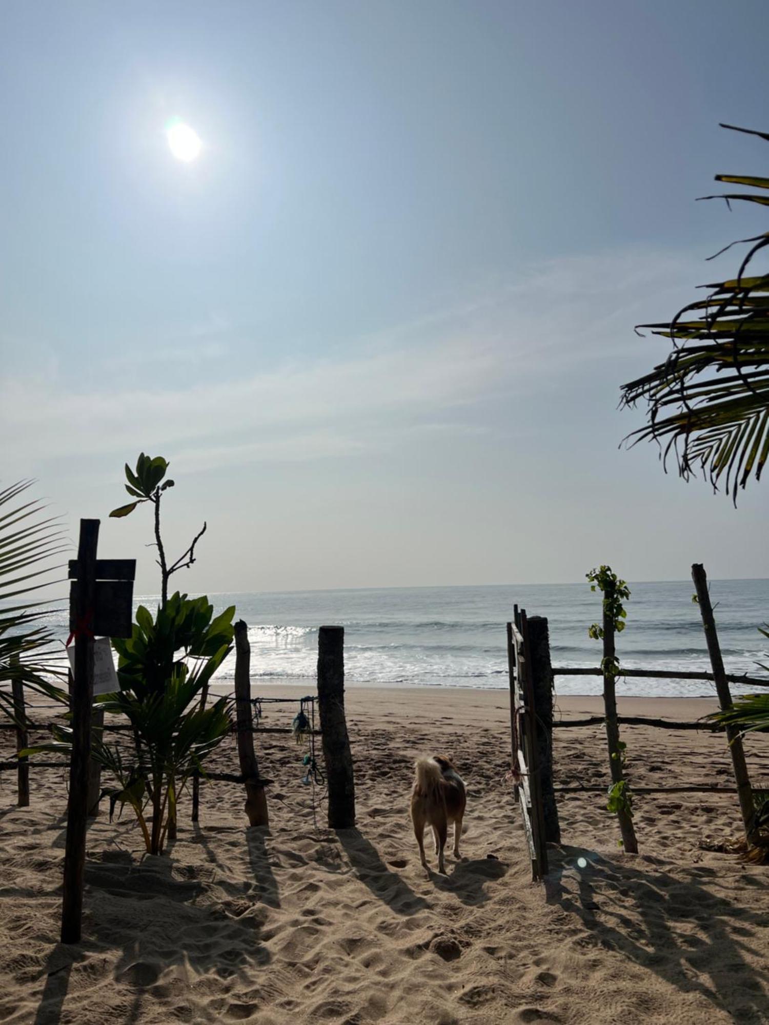 Villasiri And Leon Beach Paradise Тангалла Экстерьер фото