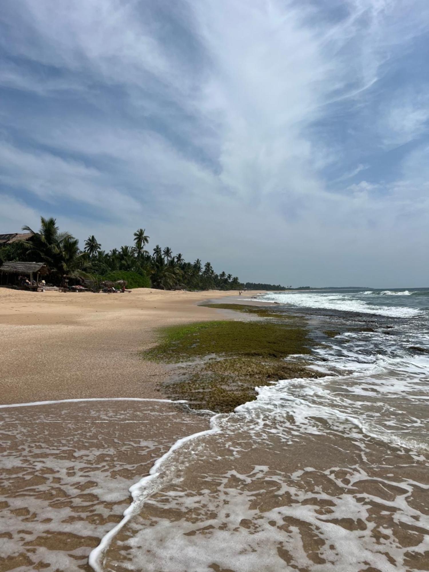 Villasiri And Leon Beach Paradise Тангалла Экстерьер фото